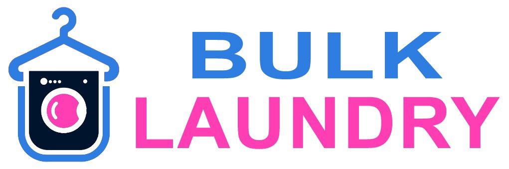 Bulk Laundry Logo (1)